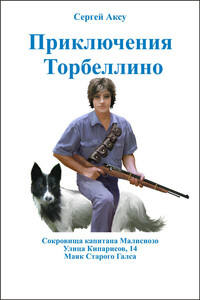 Приключения Торбеллино - Сергей Аксу