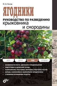 Ягодники. Руководство по разведению крыжовника и смородины - Михаил В Рытов