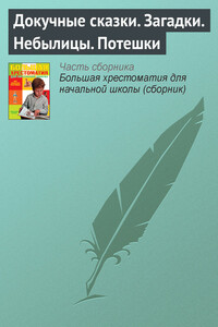 Докучные сказки. Загадки. Небылицы. Потешки - Русский фольклор