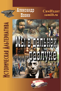 Мы в дальней разлуке - Александр Геннадьевич Позин