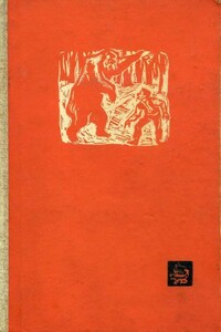 Таинственное похищение - Иван Руж