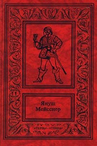 Черные флаги - Януш Мейсснер