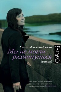 Мы не могли разминуться - Аньес Мартен-Люган