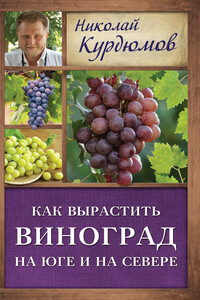 Мой сад. Максимальный урожай легко и просто - Николай Иванович Курдюмов