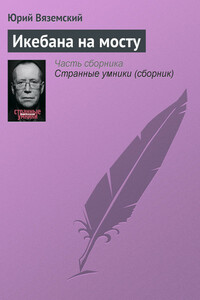 Икебана на мосту - Юрий Павлович Вяземский
