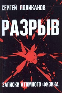 Разрыв. Записки атомного физика - Сергей Михайлович Поликанов