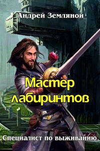 Мастер лабиринтов - Андрей Борисович Земляной