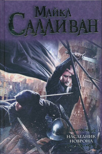 Праздник зимы - Майкл Дж. Салливан