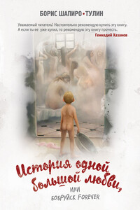 История одной большой любви, или Бобруйск forever - Борис Евсеевич Шапиро-Тулин
