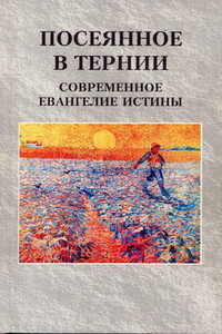 Посеянное в тернии. Современное евангелие истины - Валентин Юрьевич Ирхин