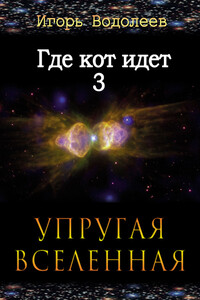 Где кот идет. Кн. 3. Упругая вселенная - Игорь Водолеев