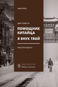 Помощник китайца. Я внук твой - Илья Николаевич Кочергин