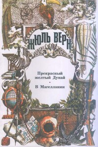В Магеллании - Жюль Верн