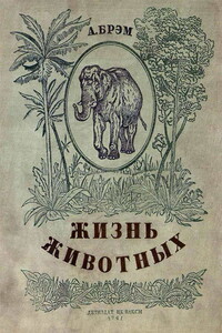 Жизнь животных в рассказах и картинках по А. Брэму - Альфред Эдмунд Брем, Валерий Иоильевич Язвицкий