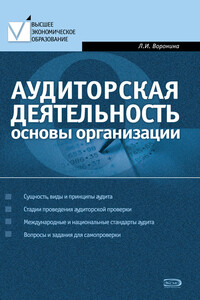 Аудиторская деятельность: основы организации - Лариса Ивановна Воронина