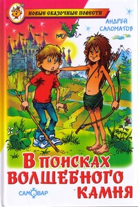 В поисках волшебного камня - Андрей Васильевич Саломатов