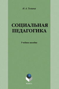 Социальная педагогика - Ирина Анатольевна Телина