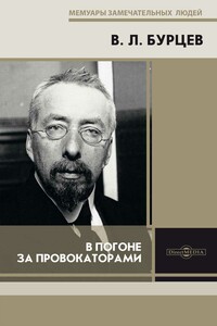 В погоне за провокаторами - Владимир Львович Бурцев