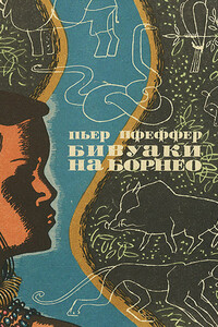 Бивуаки на Борнео - Пьер Пфеффер