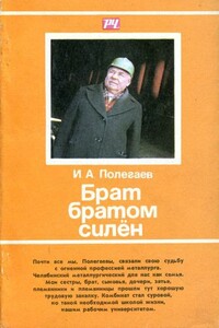 Брат братом силён - Иван Александрович Полегаев