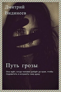Путь грозы - Дмитрий Александрович Видинеев