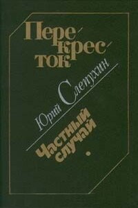 Перекресток. Частный случай - Юрий Григорьевич Слепухин
