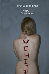 Монстр. Часть I. Созерцание - Елена Александровна Шашкова