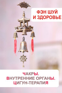 Фэн-шуй и здоровье. Чакры. Внутренние органы. Цигун-терапия - Илья Валерьевич Мельников