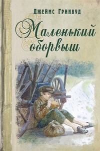 Маленький оборвыш - Джеймс Гринвуд