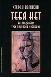 Тебя нет. За пределами трех покровов сознания - Стивен Волински