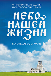 Небо нашей жизни. Бог, человек, церковь - Иоанн, Наталья Борисовна Черных