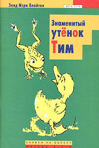 Знаменитый утенок Тим - Энид Блайтон