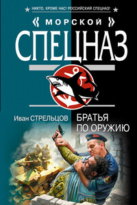 Братья по оружию - Иван Захарович Стрельцов