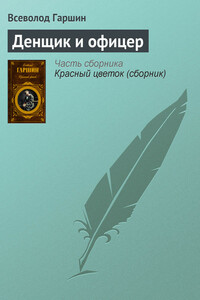 Денщик и офицер - Всеволод Михайлович Гаршин