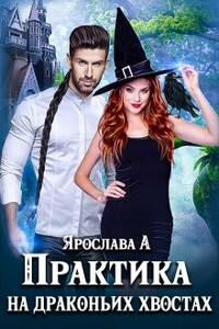 Практика на драконьих хвостах. Книга 1