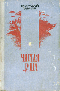 Чистая душа - Мирсай Амир, Мирсаяф Масалимович Амир