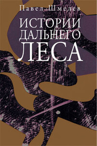 Истории Дальнего Леса - Павел Михайлович Шмелев