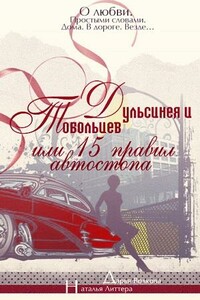 Дульсинея и Тобольцев, или Пятнадцать правил автостопа - Дарья Волкова, Наталья Литтера
