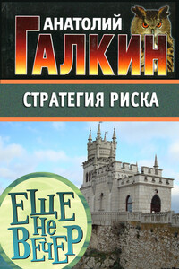 Стратегия риска - Анатолий Михайлович Галкин