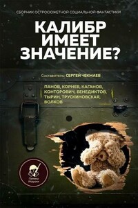 Калибр имеет значение? - Андрей Викторович Щербак-Жуков, Кирилл Станиславович Бенедиктов