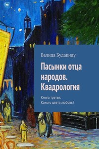 Книга 3. Какого цвета любовь? - Валида Анастасовна Будакиду