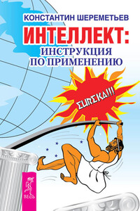 Интеллект: инструкция по применению - Константин Петрович Шереметьев