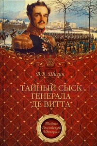 Тайный сыск генерала де Витта - Владимир Виленович Шигин