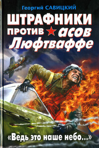 Штрафники против асов Люфтваффе. «Ведь это наше небо…» - Георгий Валерьевич Савицкий