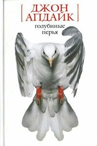 Номер на двоих в Риме - Джон Апдайк