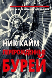 Перерожденные бурей - Ник Кайм