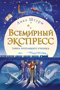 Тайна пропавшего ученика - Анка Штурм