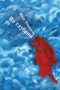 Из глубины. Избранные стихотворения - Илья Исаакович Рейдерман