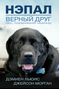 Нэпал — верный друг. Пес, подаривший надежду - Дэмиен Льюис, Джейсон Морган