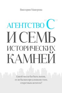 Агентство «С» и семь исторических камней